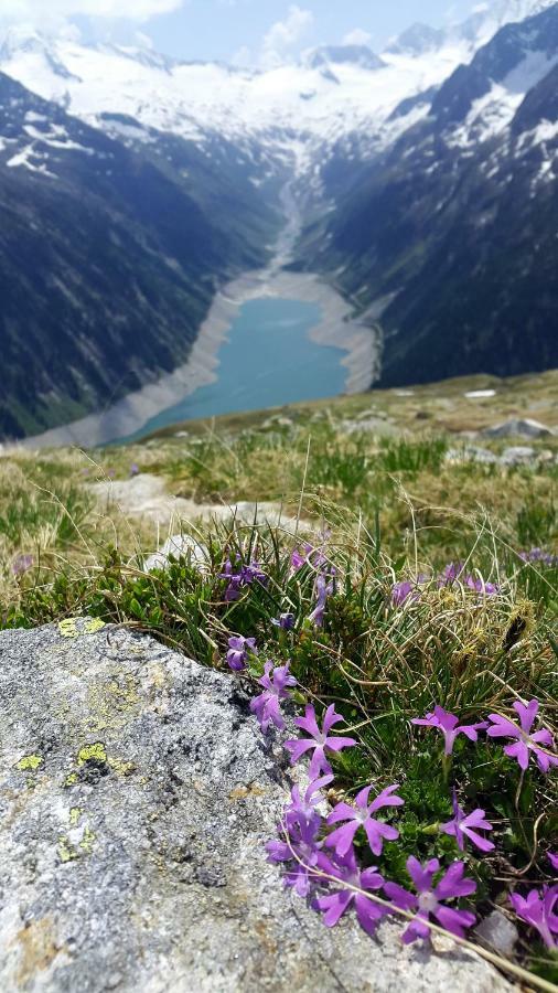 Hotel Pension Eichenhof Ried im Zillertal Exteriör bild