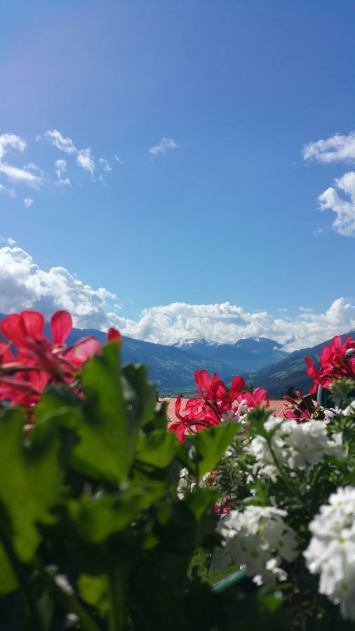 Hotel Pension Eichenhof Ried im Zillertal Exteriör bild